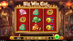 Big Win Cat v Betano