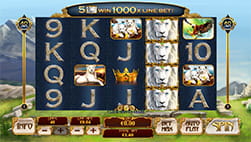 White King v Fortuna